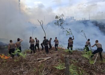 Ditsamapta Polda Kaltara Berjibaku Padamkan Karhutla di Tanjung Selor KM 6