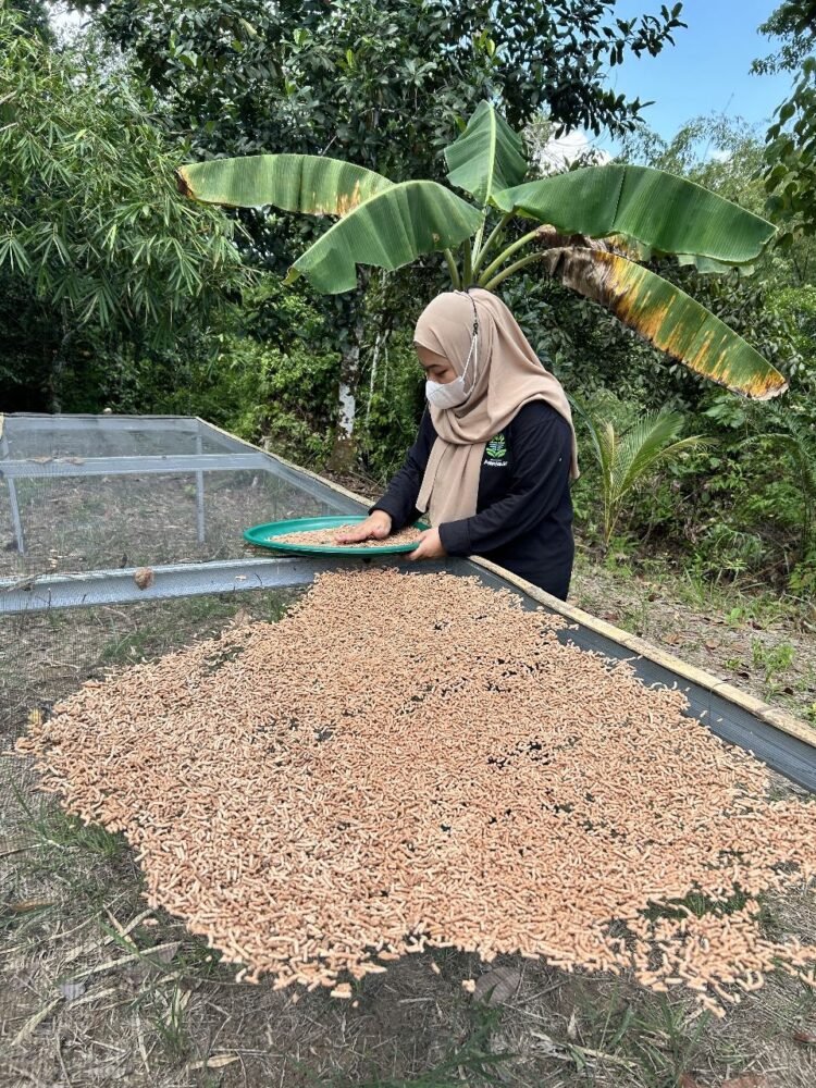 Limbah Perikanan Disulap Jadi Pakan, Pertamina FT Tarakan Raih Penghargaan Inovasi Sosial ENSIA 2025