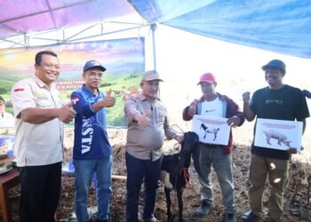 Kelompok Tani Royo Koyo Mendapat Hibah hewan Ternak dari Pemkot Tarakan 