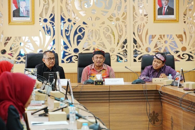 Gelar Rakor dan Capacity Building, TPAKD Dorong Percepatan Akses Keuangan Inklusif di Daerah