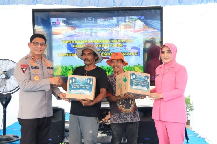 Sinergi Polda Kaltara dan Forkopimda : Tanam Jagung Serentak di Bumi Rahayu Demi Swasembada Pangan 2026