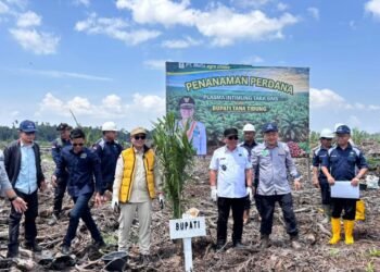 Bupati Hadiri Penanaman Plasma Sawit Di Desa Sambungan