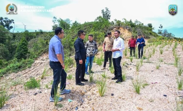 Tinjau Sejumlah Proyek Tahun Anggaran 2025 di Tarakan, Pansus LKPj Cek Kualitas Infrastruktur