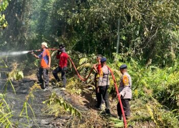 Sigap! Brimob Polda Kaltara Jinakkan Karhutla di Jelaral Hulu