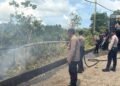 Gerak Cepat, Dit Samapta dan Satbrimob Polda Kaltara Jinakkan Karhutla di Jl. Poros Tanjung Selor KM 4