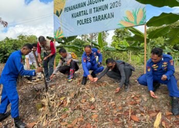 Polres Tarakan Laksanakan Penanaman Jagung Pipil Kuartal II Tahun 2026