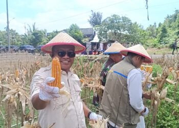Panen Jagung Kuartal II Kepolisian Dapat Apresiasi Positif dari DPRD Tarakan