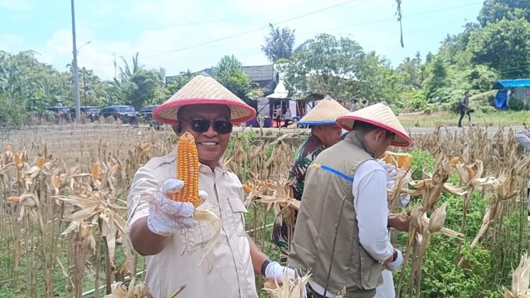 Panen Jagung Kuartal II Kepolisian Dapat Apresiasi Positif dari DPRD Tarakan
