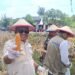 Panen Jagung Kuartal II Kepolisian Dapat Apresiasi Positif dari DPRD Tarakan
