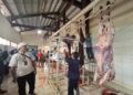 DKPP Tingkatkan Pengawasan Pemotongan Hewan Kurban di RPH
