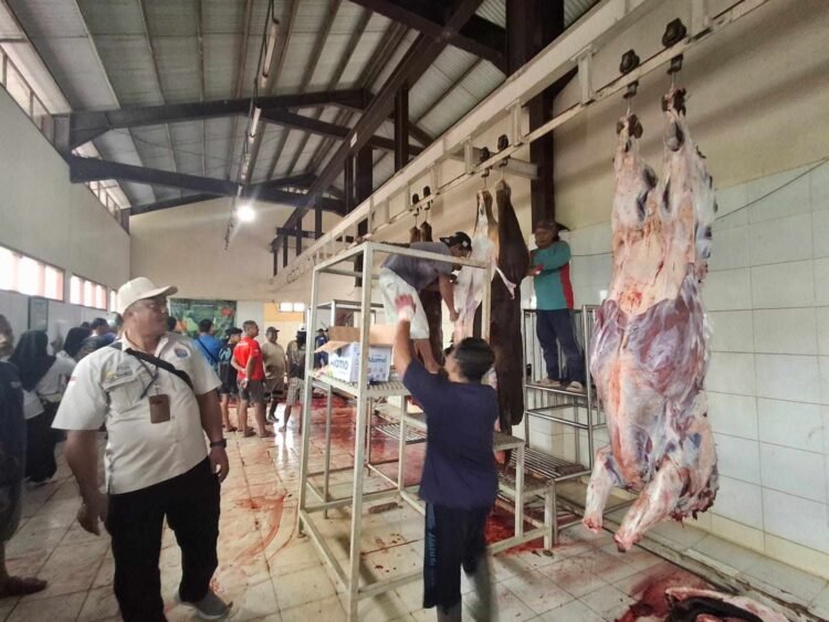 DKPP Tingkatkan Pengawasan Pemotongan Hewan Kurban di RPH