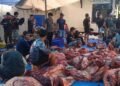 Masjid Nurhasan Sembelih 50 Ekor Sapi, Daging Dibagikan Tanpa Kupon