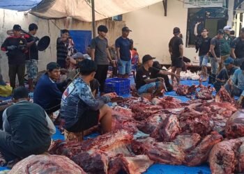 Masjid Nurhasan Sembelih 50 Ekor Sapi, Daging Dibagikan Tanpa Kupon