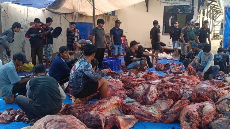 Masjid Nurhasan Sembelih 50 Ekor Sapi, Daging Dibagikan Tanpa Kupon