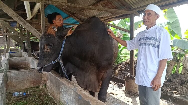 Pemasok Sapi Diduga lakukan Praktik Monopoli, Pengusaha Dibuat Merugi 