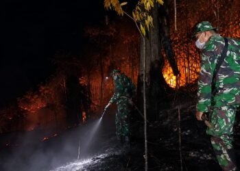 Kebakaran Lahan Pantai Amal Meluas, Kodim dan Tim Gabungan Turun Padamkan Api