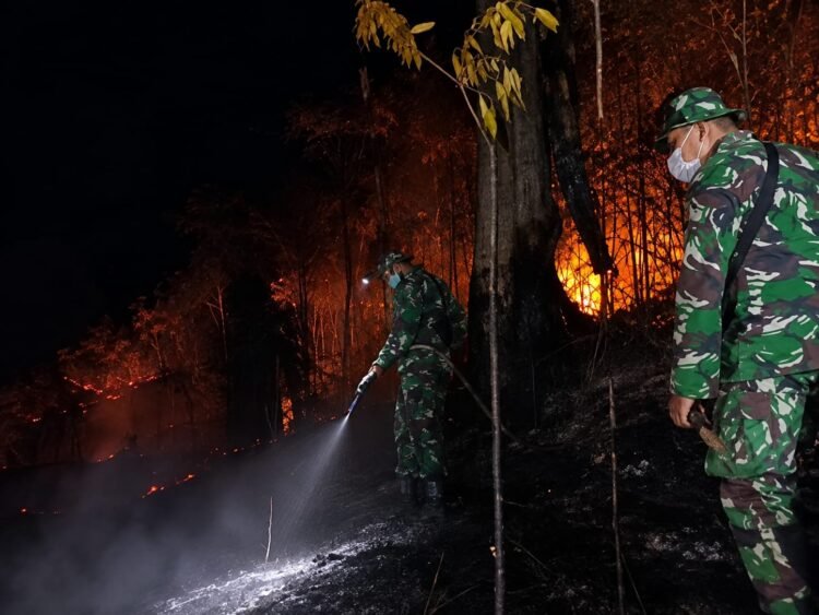 Kebakaran Lahan Pantai Amal Meluas, Kodim dan Tim Gabungan Turun Padamkan Api