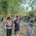 Diduga Gelar Judi Sabung Ayam di Juata Laut, Empat Orang Diamankan Polisi