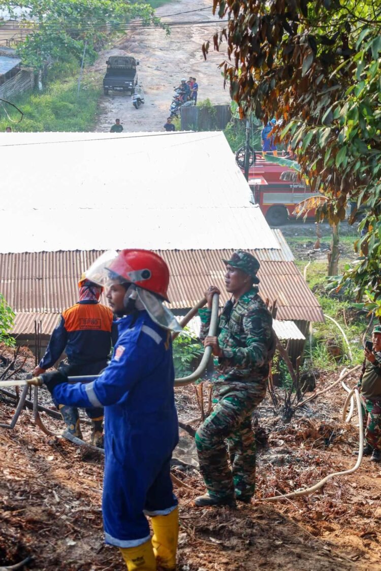 Lahan 3.256 Meter Persegi Terbakar di Juata Kerikil, Api Cepat Dikendalikan Petugas Gabungan