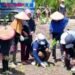 Vamelia Hadiri Tanam Padi Perdana KWT di Tana Tidung