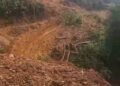 Nelayan Tarakan Tak Lagi Bergantung pada Pasang Surut, Jalan Baru 2,5 Kilometer Jadi Harapan Warga Pesisir