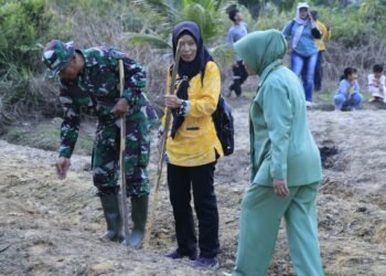 TMMD Kodim Tarakan Tanam Jagung di Lahan Satu Hektare, Perkuat Ketahanan Pangan